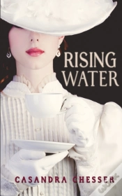 Capa do artigo Rising Water