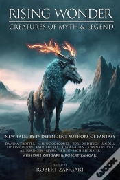 Capa do artigo Rising Wonder