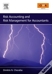 Capa do artigo Risk Accounting And Risk Management For Accountants