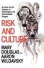Risk And Culture - Preview