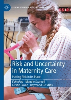 Capa do artigo Risk And Uncertainty In Maternity Care