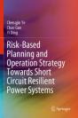 Risk-Based Planning And Operation Strategy Towards Short Circuit Resilient Power Systems - Preview