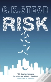 Capa do artigo Risk