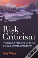 Risk Criticism