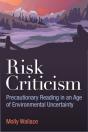 Risk Criticism - Preview
