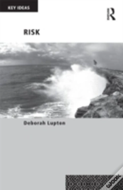 Capa do artigo Risk