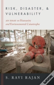 Capa do artigo Risk, Disaster, And Vulnerability