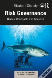 Capa do artigo Risk Governance