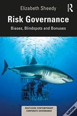 Capa do artigo Risk Governance