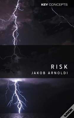 Capa do artigo Risk