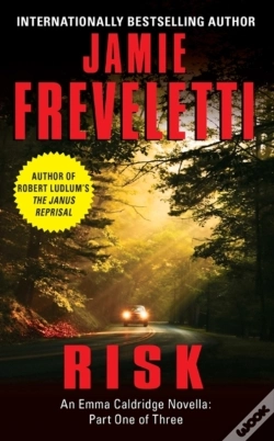 Capa do artigo Risk