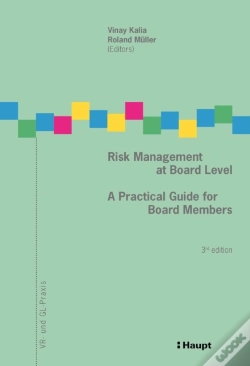 Capa do artigo Risk Management At Board Level