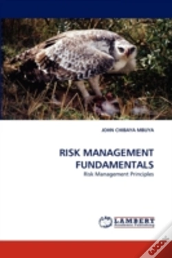 Capa do artigo Risk Management Fundamentals