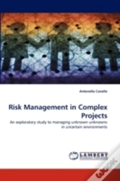 Risk Management In Complex Projects