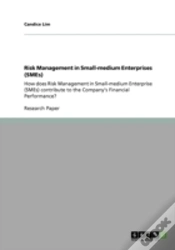 Capa do artigo Risk Management In Small-Medium Enterprises (Smes)