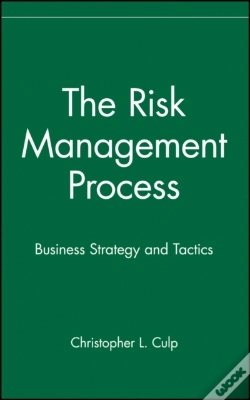Capa do artigo Risk Management Process