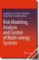 Risk Modeling, Analysis And Control Of Multi-Energy Systems
