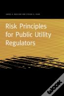 Risk Principles For Public Utility Regulators