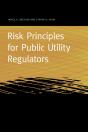 Risk Principles For Public Utility Regulators - Preview
