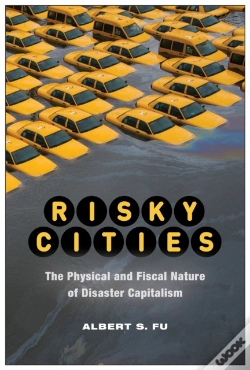 Capa do artigo Risky Cities