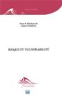 Risque Et Vulnerabilité - Preview