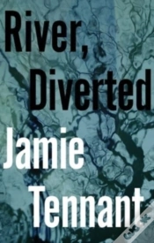 Capa do artigo River, Diverted
