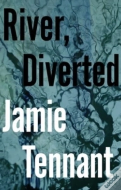 Capa do artigo River, Diverted