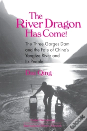 Capa do artigo River Dragon Has Come!