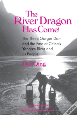 Capa do artigo River Dragon Has Come!