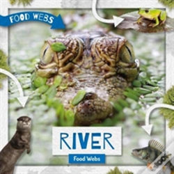 Capa do artigo River Food Webs