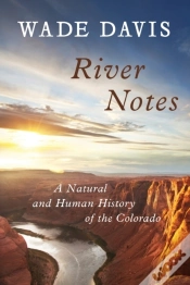 Capa do artigo River Notes