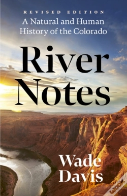 Capa do artigo River Notes