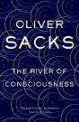 River Of Consciousness - Preview
