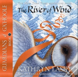 Capa do artigo River Of Wind