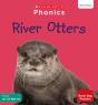 River Otters (Set 6) - Preview
