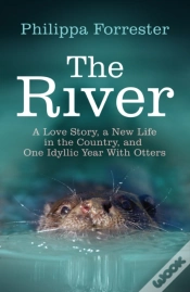 Capa do artigo River