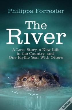 Capa do artigo River
