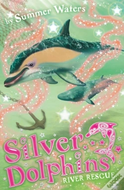 Capa do artigo River Rescue