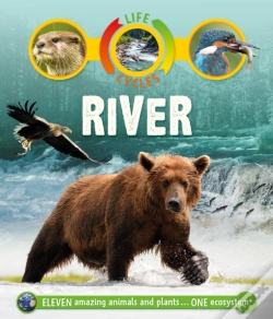 Capa do artigo River