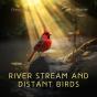 River Stream And Distant Birds - Preview