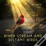 Capa do artigo River Stream And Distant Birds