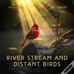 Capa do artigo River Stream And Distant Birds