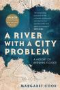 River With A City Problem - Preview
