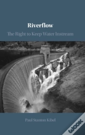 Capa do artigo Riverflow