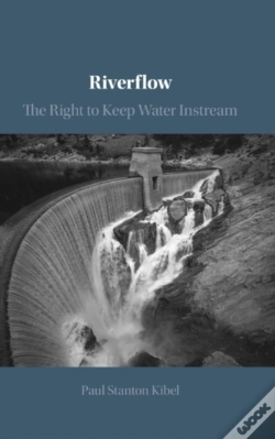 Capa do artigo Riverflow