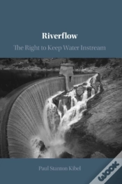 Capa do artigo Riverflow