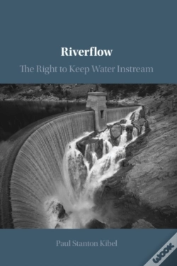 Capa do artigo Riverflow