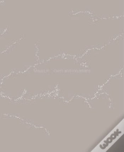 Capa do artigo Rivers And Mountains
