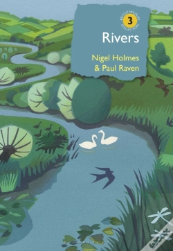 Capa do artigo Rivers