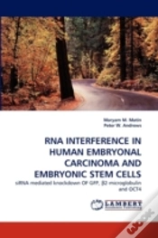 Capa do artigo Rna Interference In Human Embryonal Carcinoma And Embryonic Stem Cells